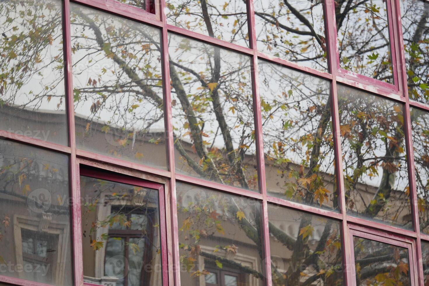 Exploring the aesthetic reflections of nature within urban architecture photo