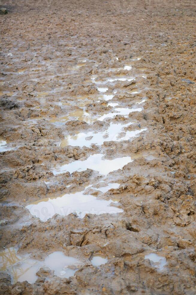 Mud Puddles on Dry Terrain with Beautiful Reflections Across the Surface photo