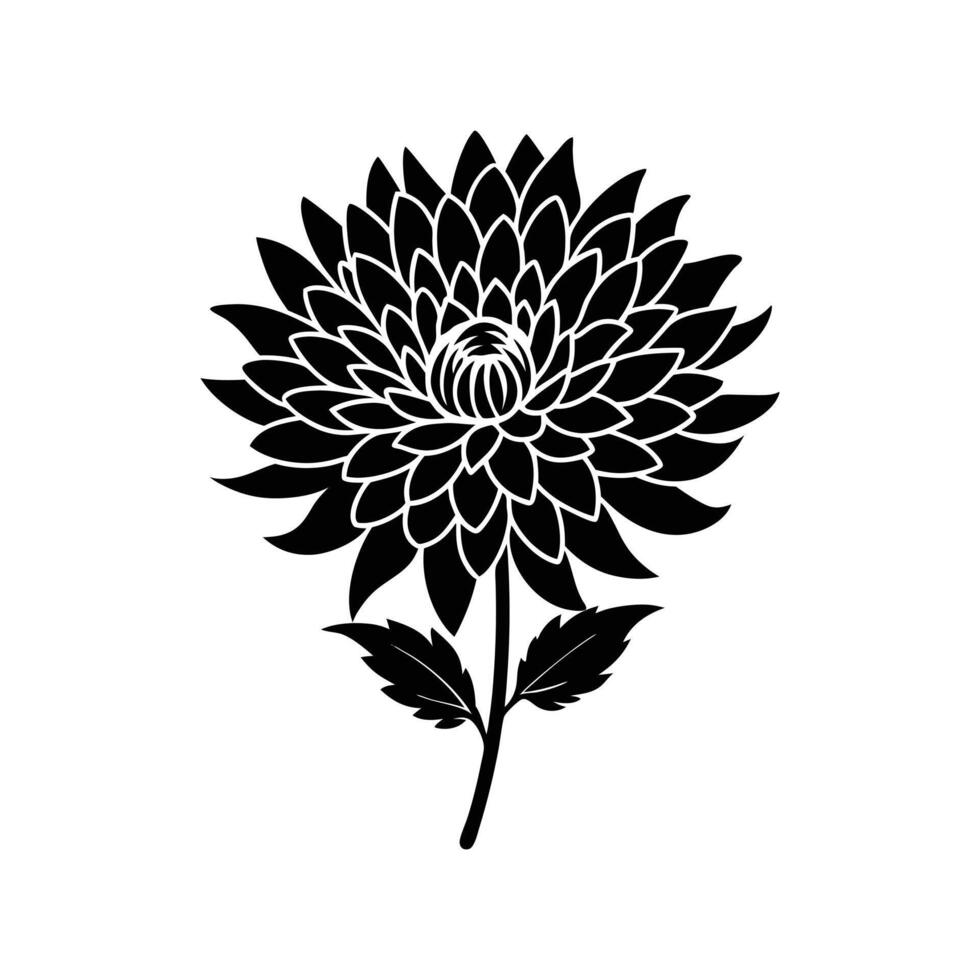 chrysanthemum flower silhouette vector