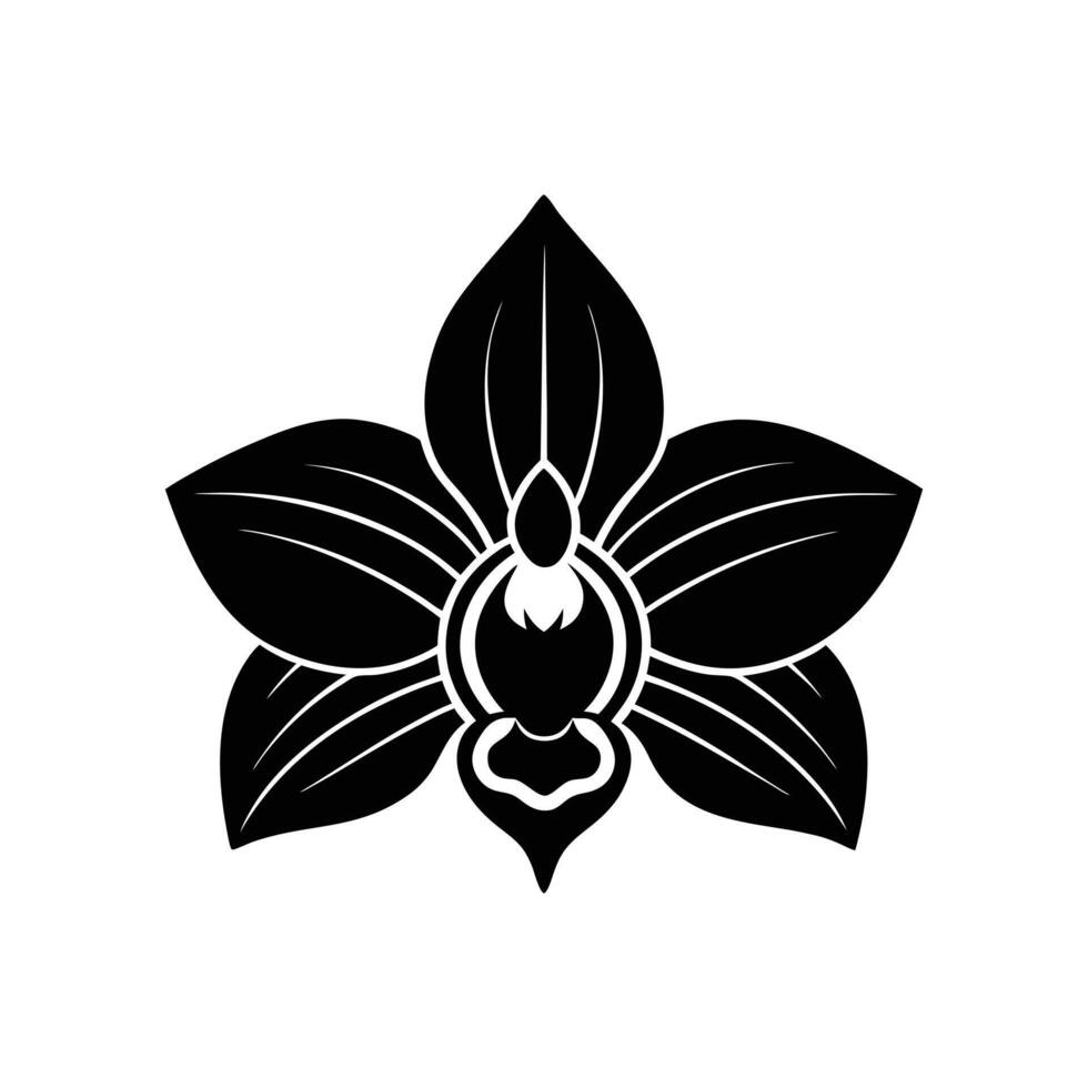 orchid silhouette, flower illustration vector