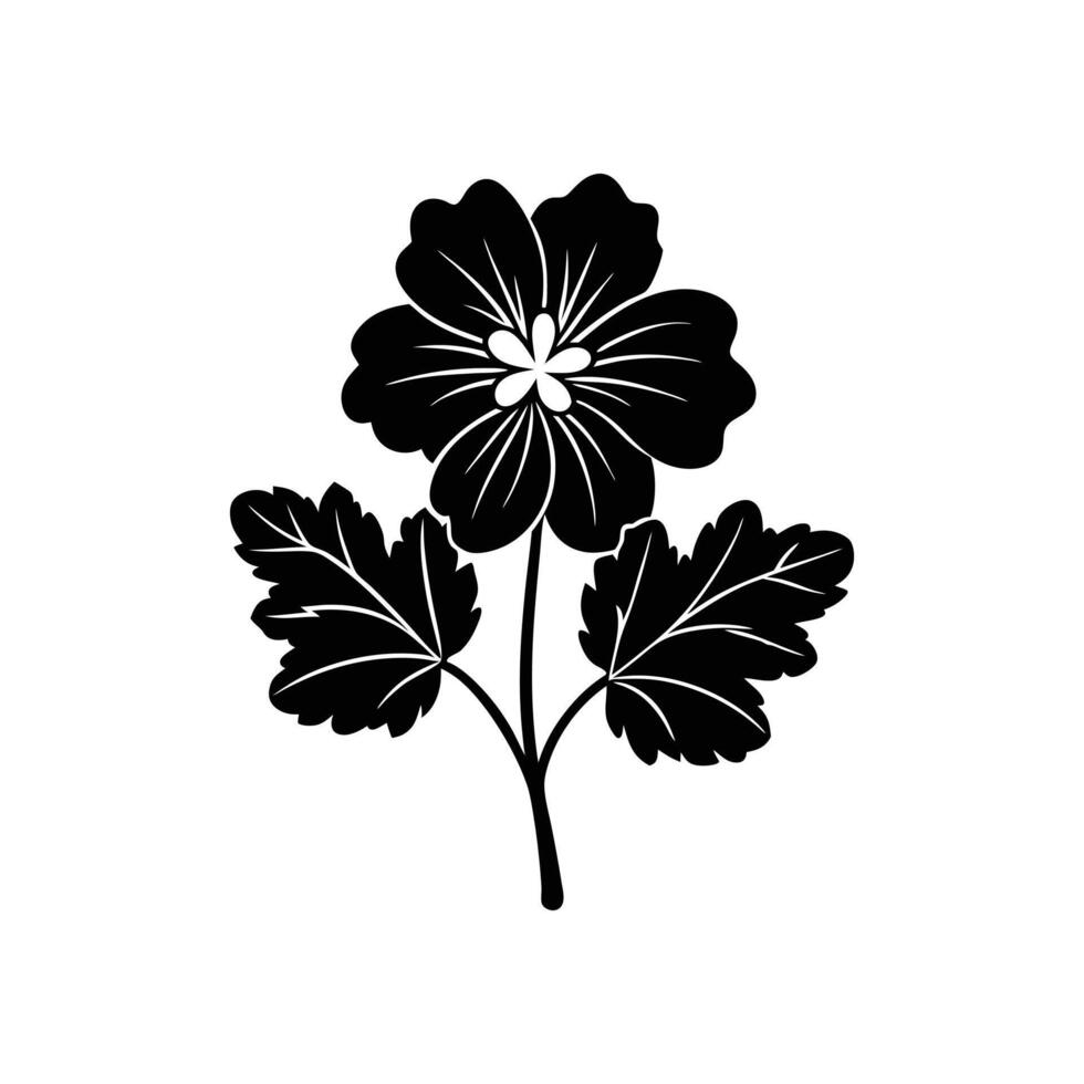 flower silhouette, geranium illustration vector