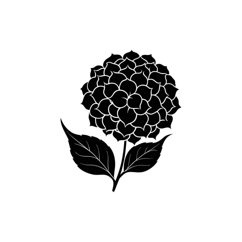 hydranqea icon, flower silhouette illustration vector