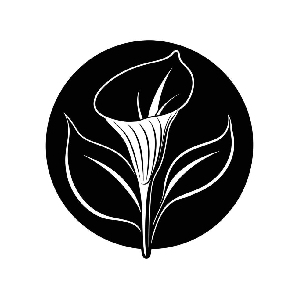 calla lily icon, flower silhouette illustration vector