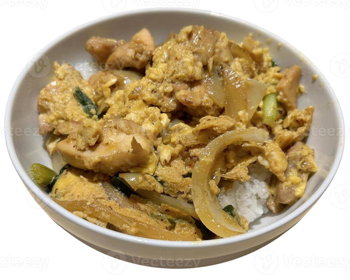 stir fried pork with egg and onion photo