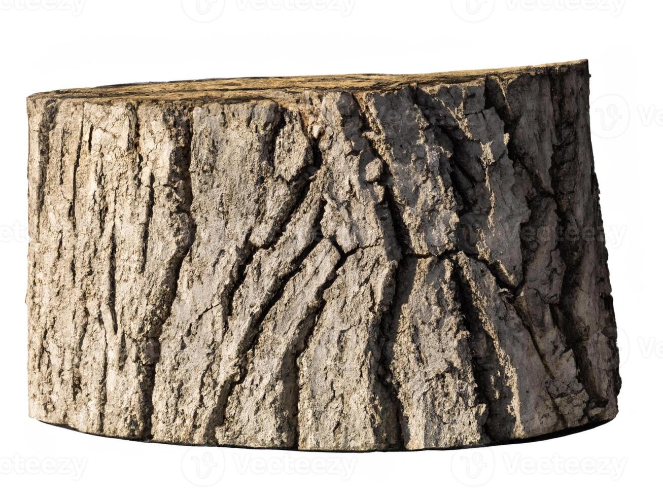wood stump isolated against white background. photo