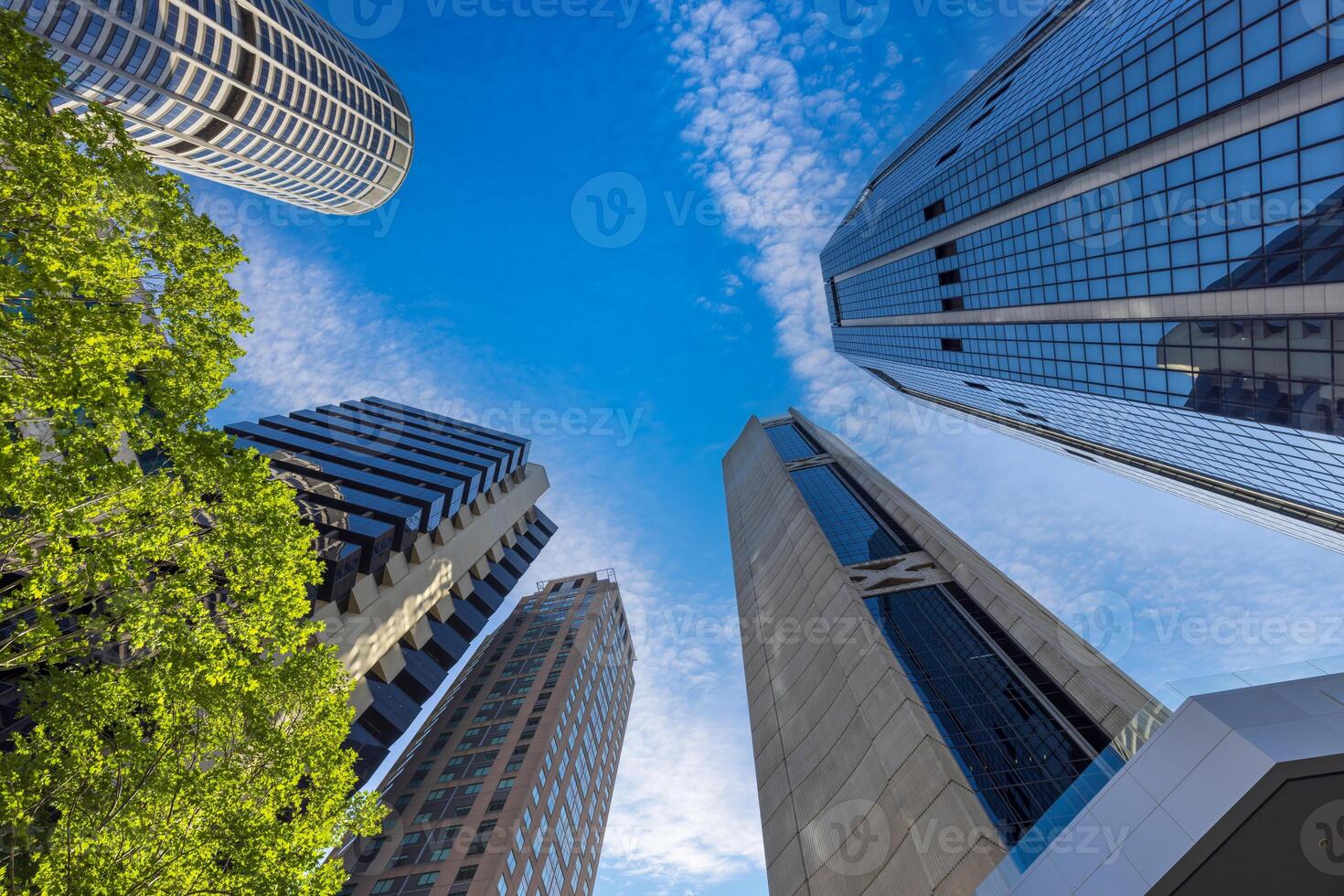 Australia scenic Sydney downtown skyline panorama and financial business center near Opera House photo
