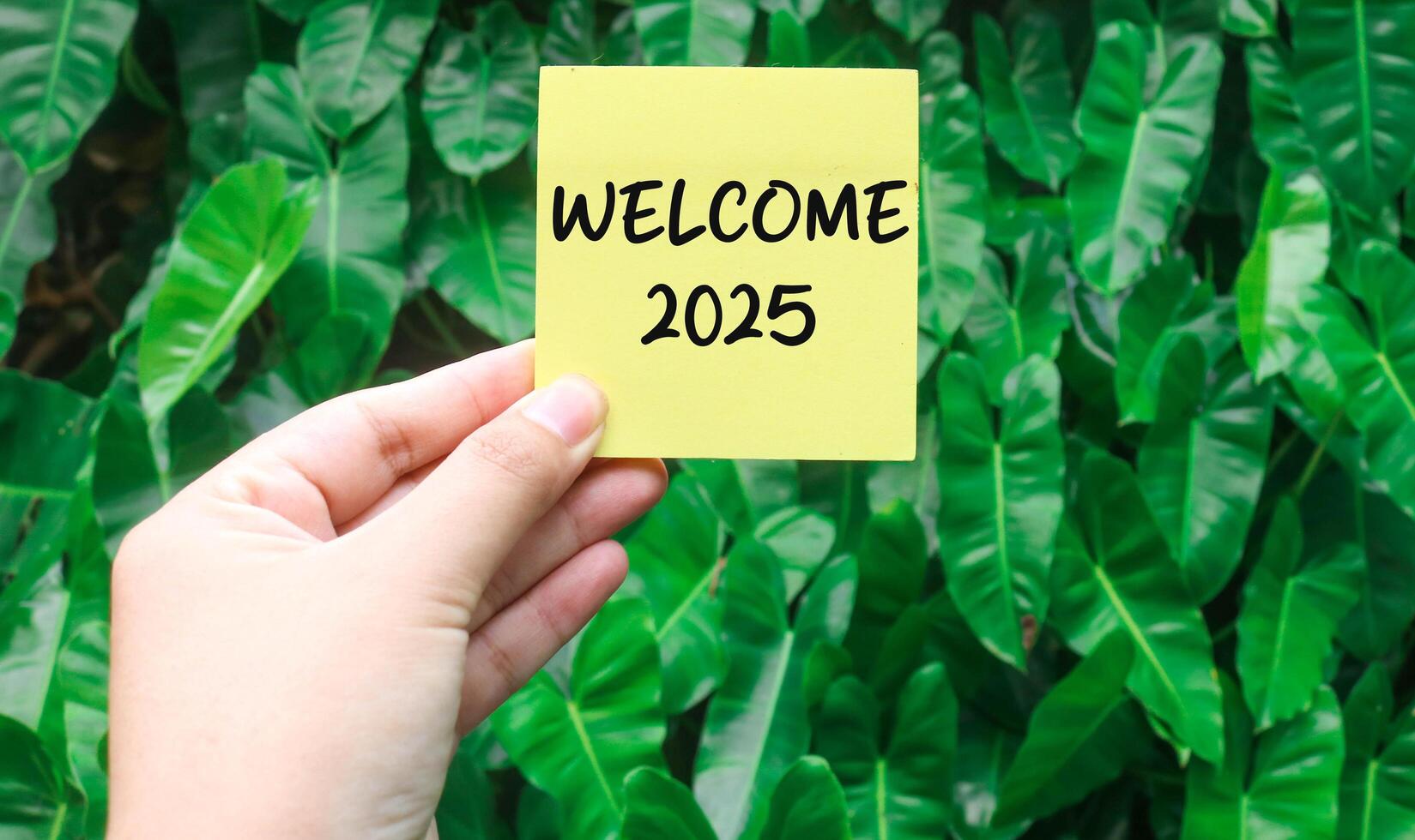 Hand holding a note Welcome 2025 with a plant background. New year concept with typographic 2025. Motivational words to welcome the new year 2025 photo