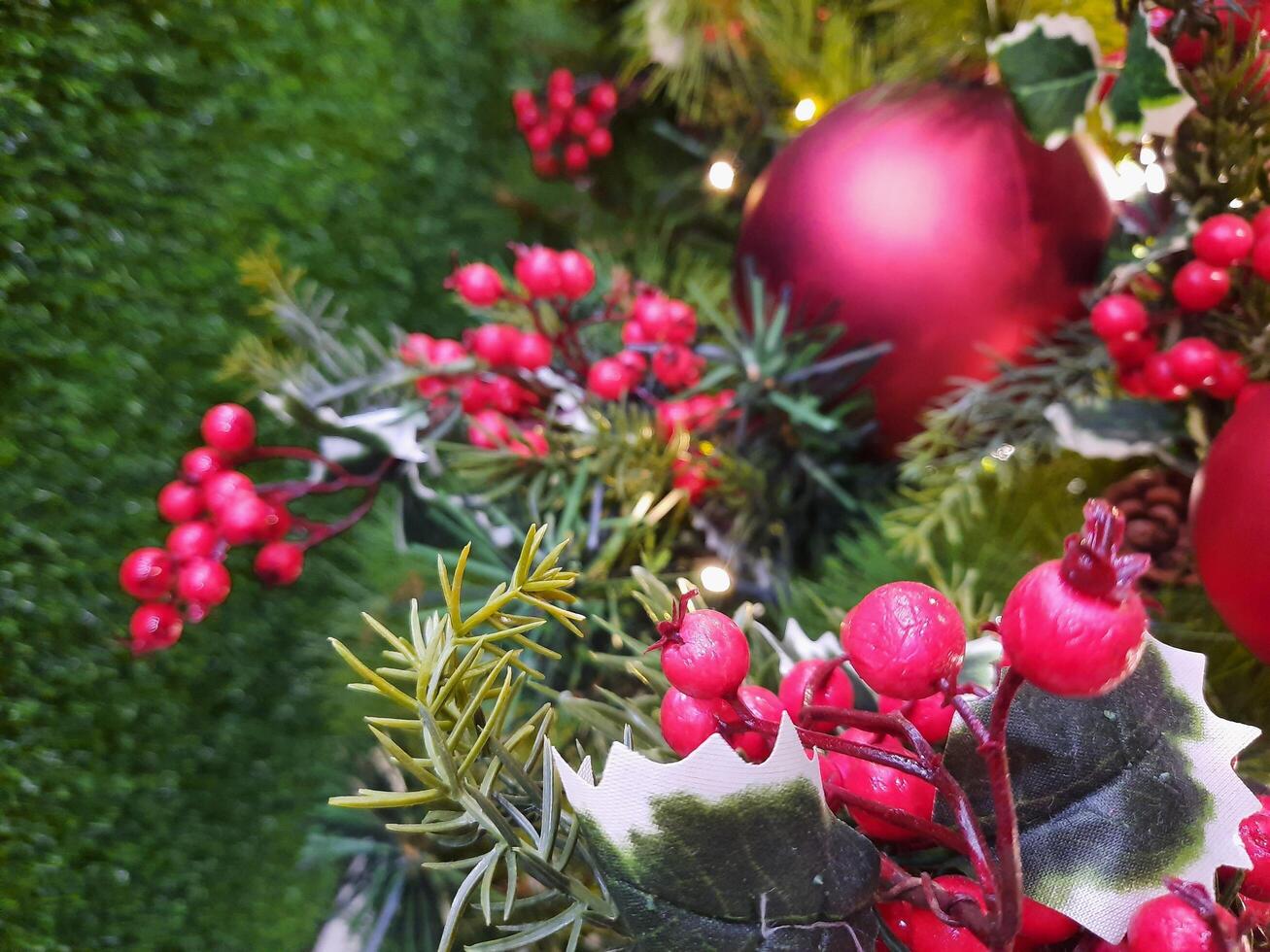 close up of a christmas tree photo