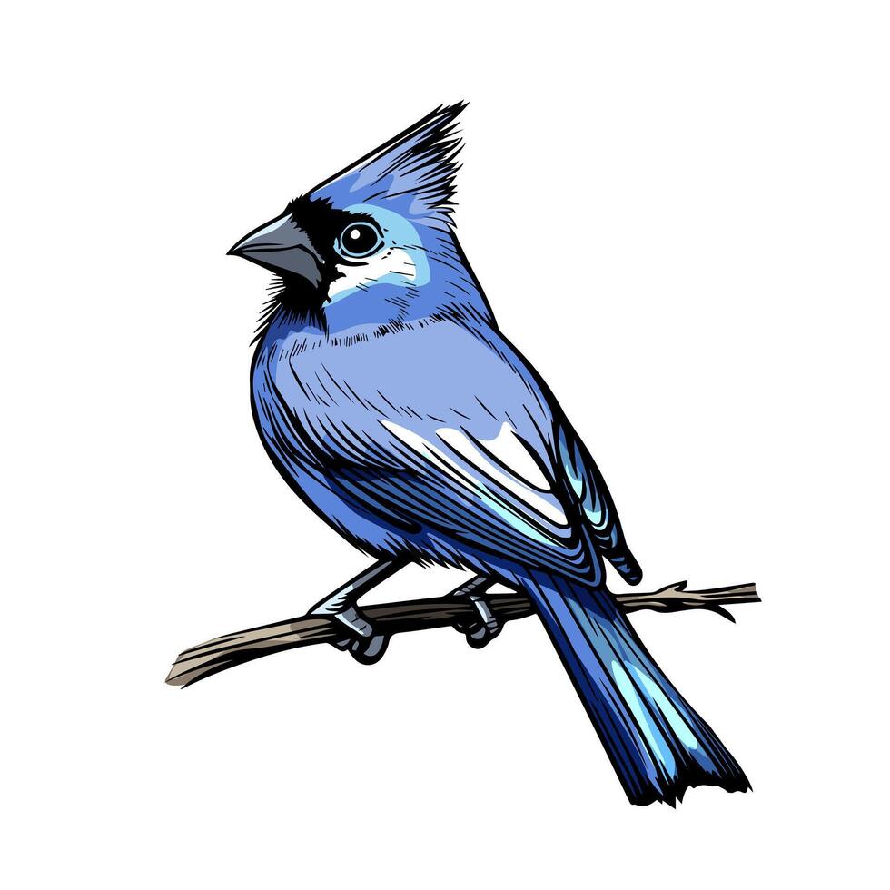 A blue bird sitting on a branch vector