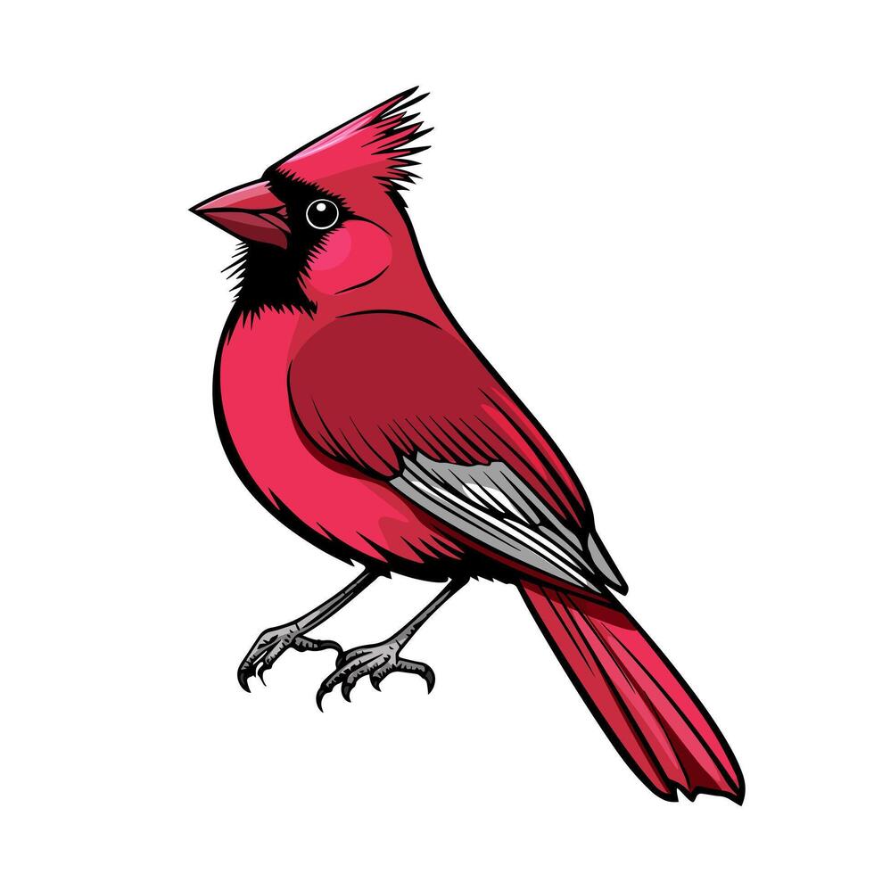A red cardinal bird with a black beak vector