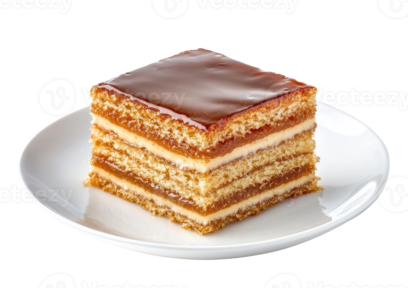 Plate with honey cake png