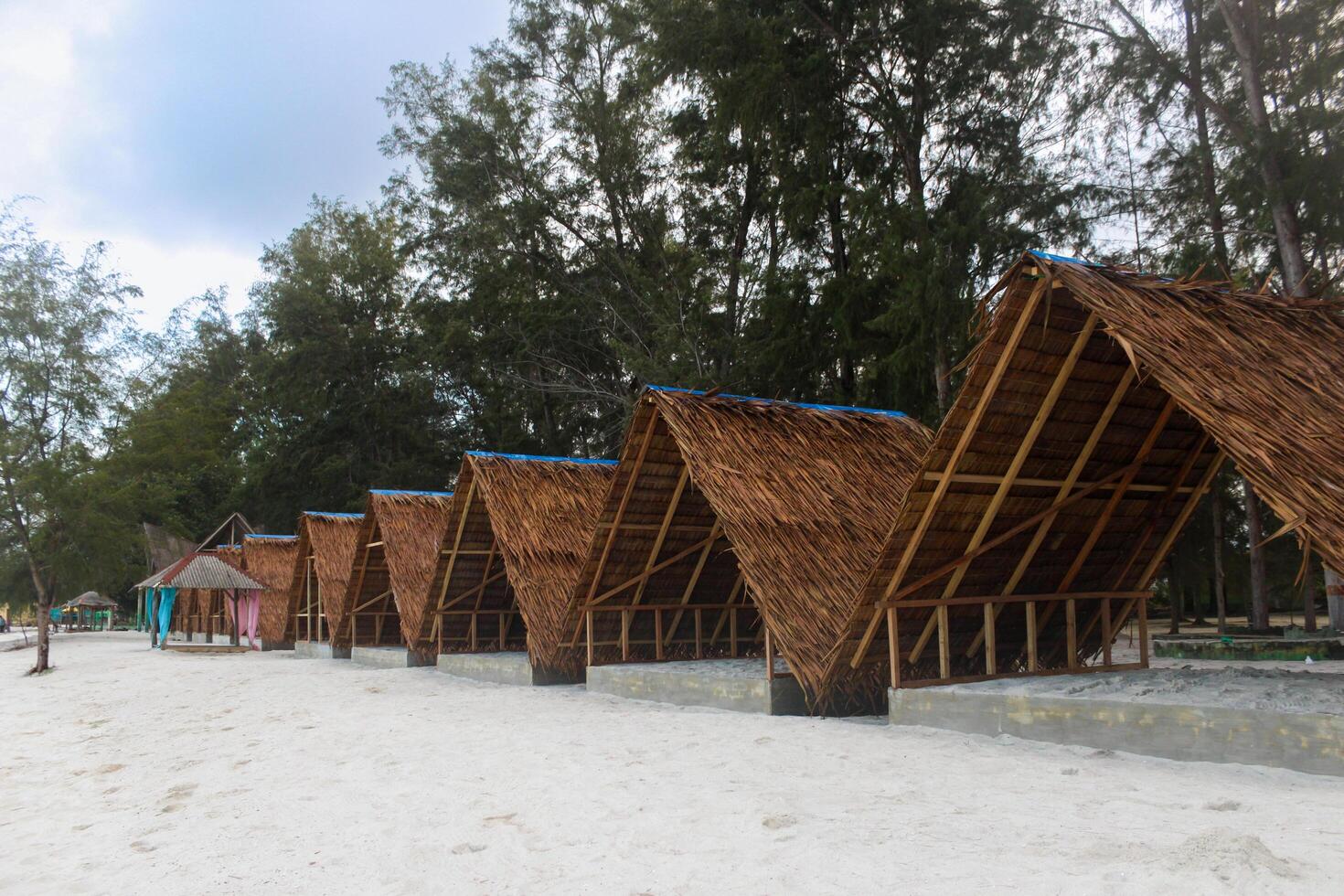 Beachfront Thatch Huts. Row of thatched beach huts on a sandy beach photo