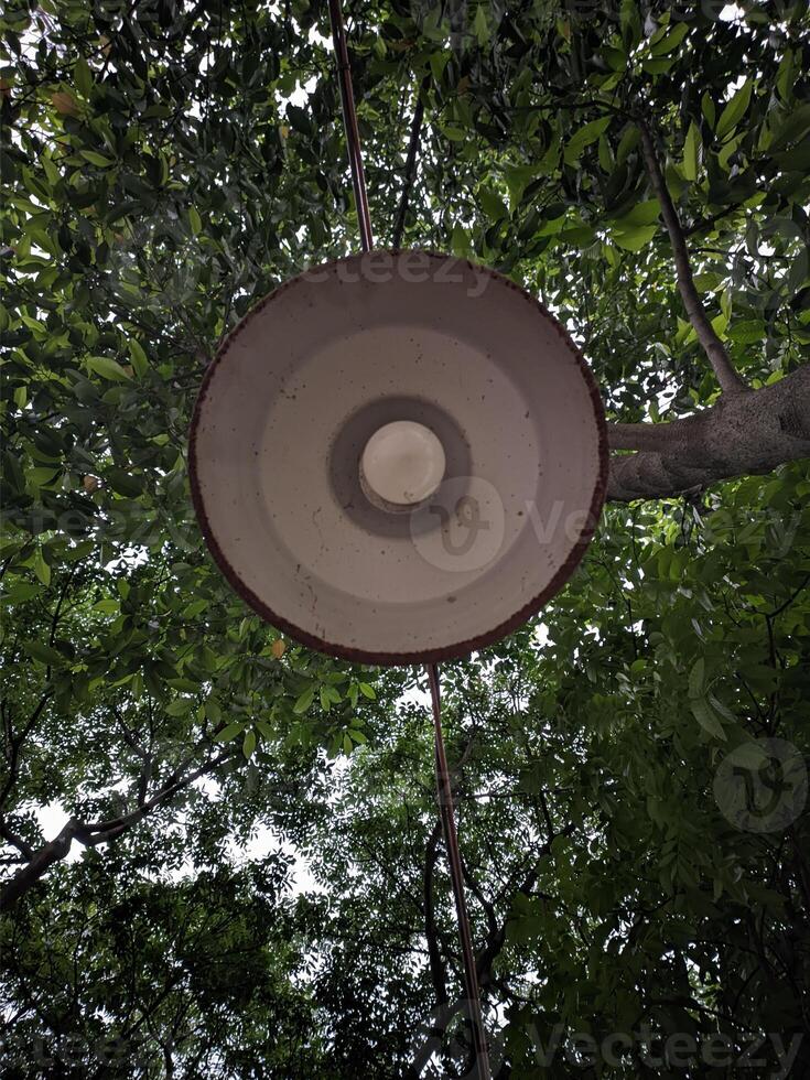 Rusty Lamp Hanging Among Dense Greenery photo