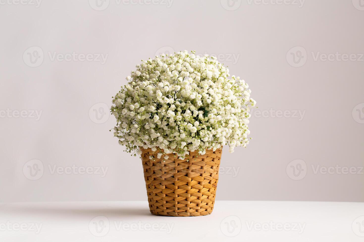 Babys Breath in Wicker Basket basket filled with a cloud like arrangement of delicate white baby breath flowers arrangement is set against a clean white background side view beauty of the blooms photo