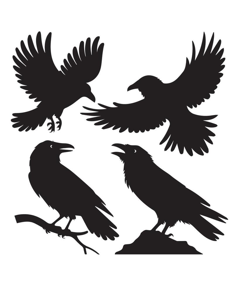 Black Raven Silhouettes Mysterious and Gothic Designs on a White Background vector