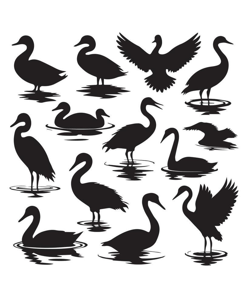 Elegant Water Bird Silhouettes in Standing, Swimming, and Flying Poses vector
