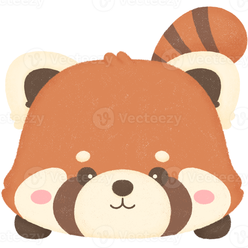 Little cute red panda clipart png