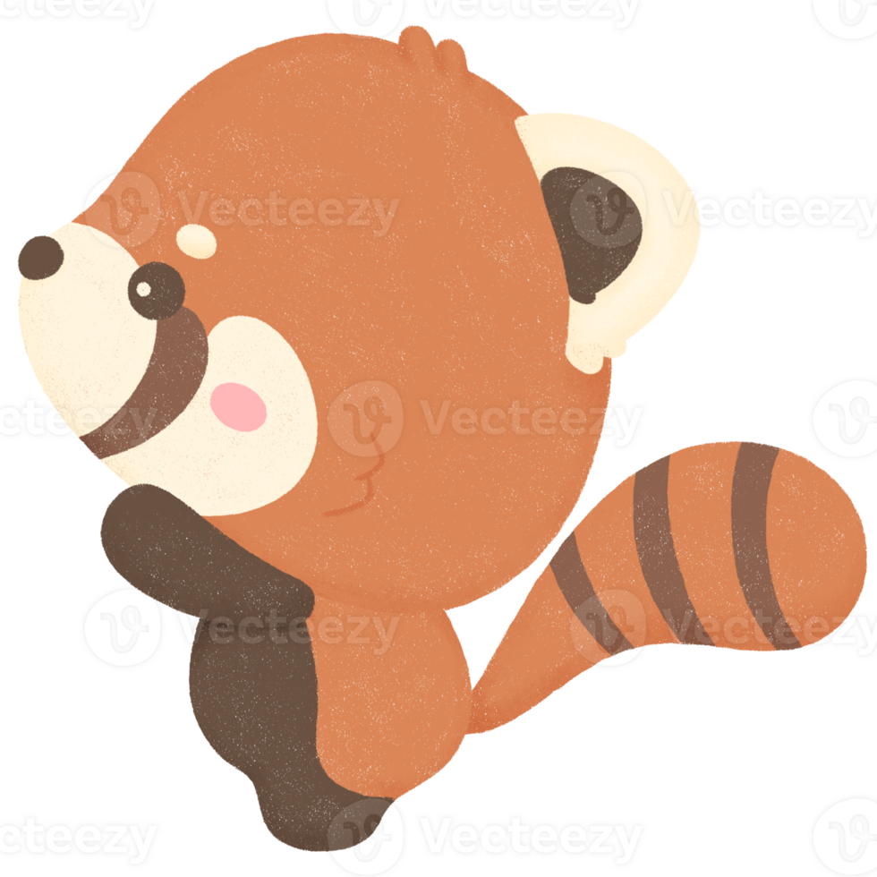 red panda cute animal png