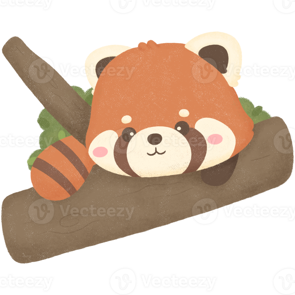 Happy red panda on the tree png