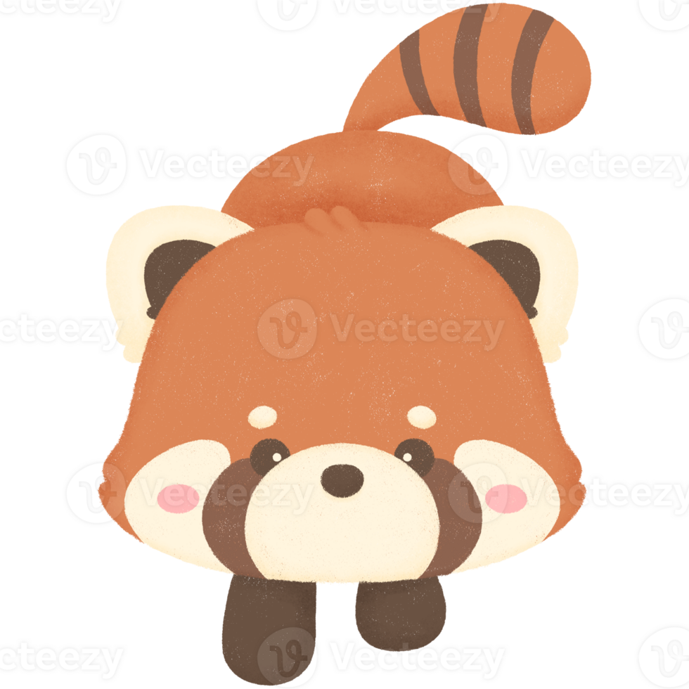 Walking red panda png