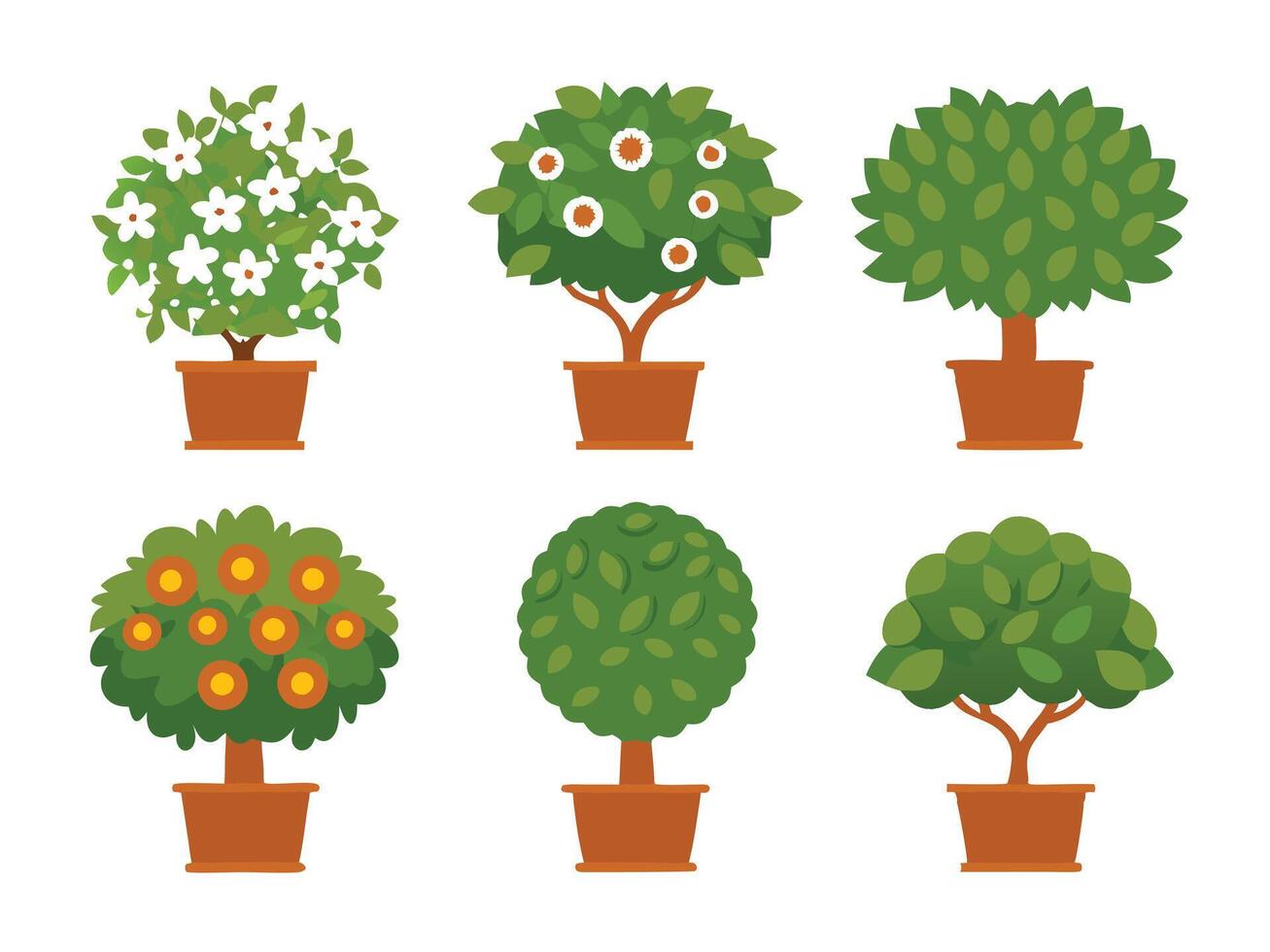 Set of decorative plants in pots isolated on a white background vector