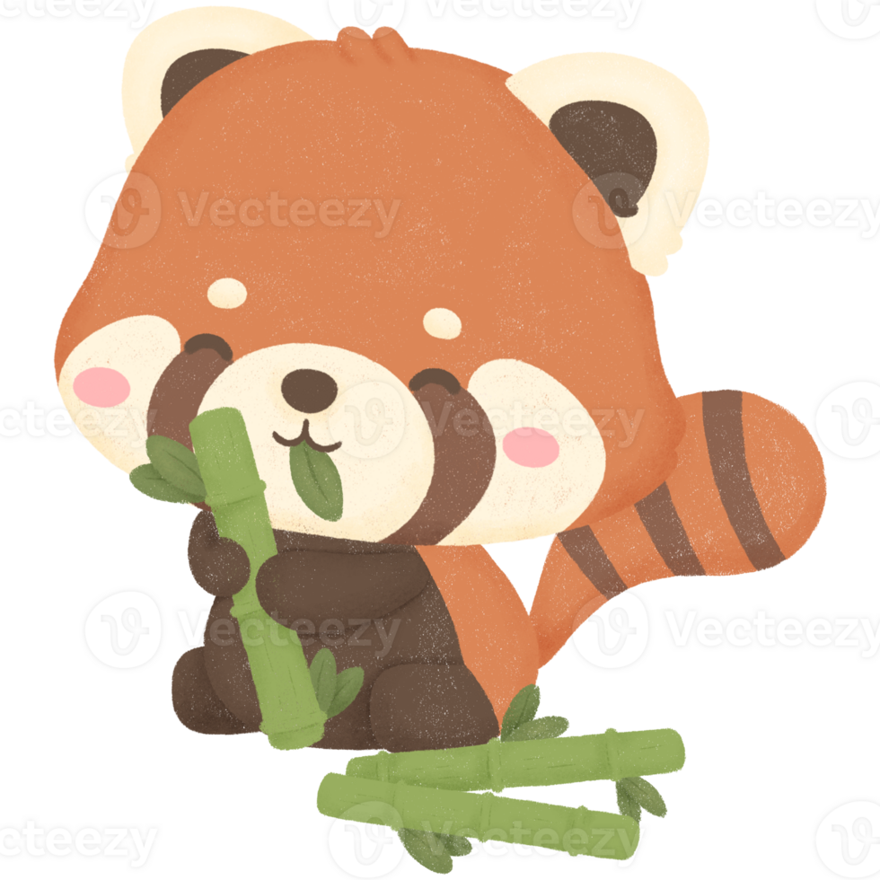 red panda and bamboo png
