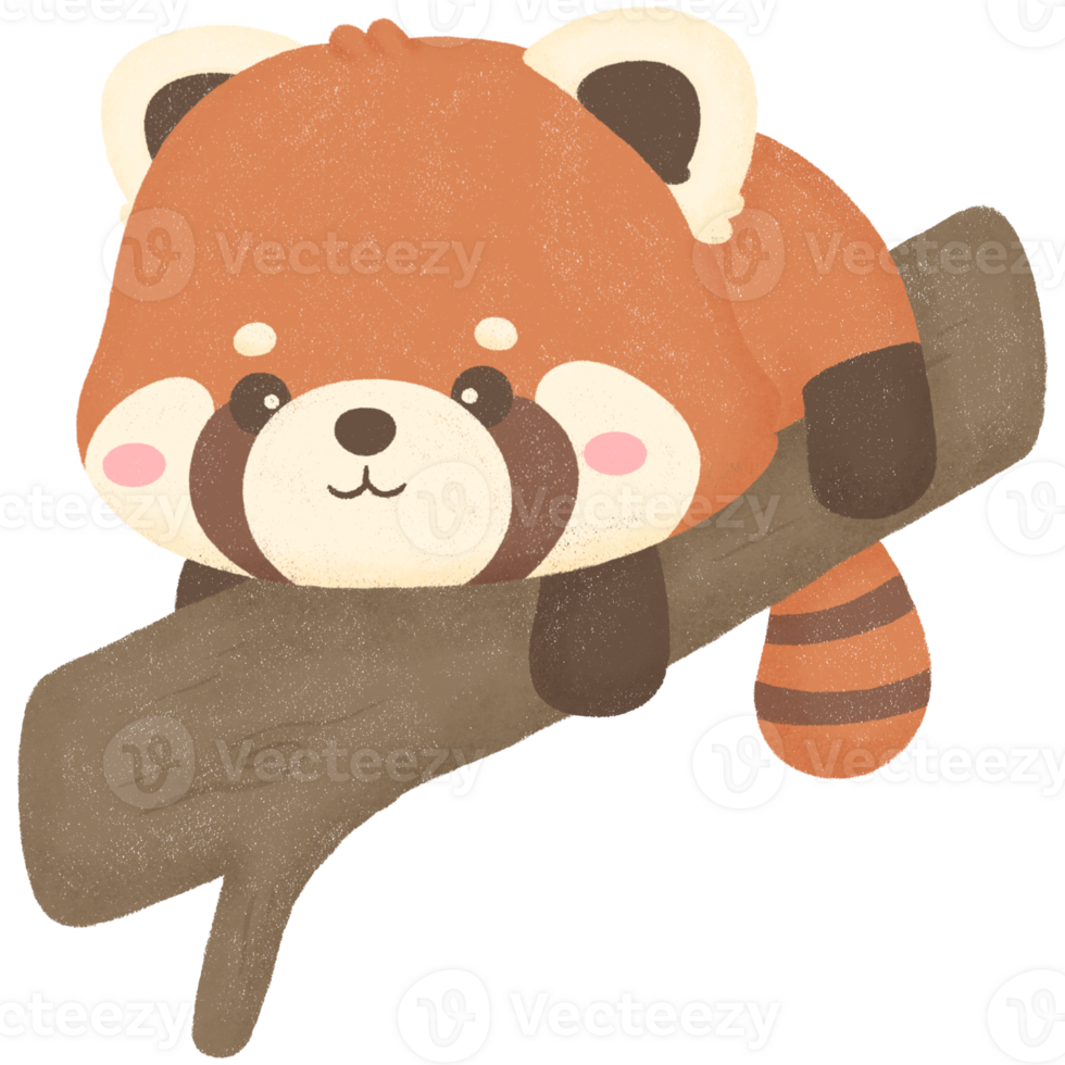 Sleepy red panda png