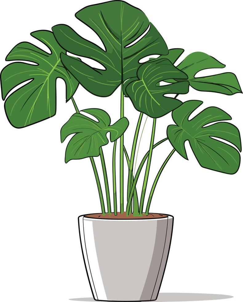 Monstera plant in a simple pot adding greenery to the space vector