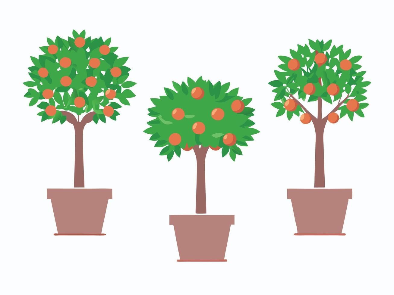 Orange tree in decorative pot for indoor gardening decor vector
