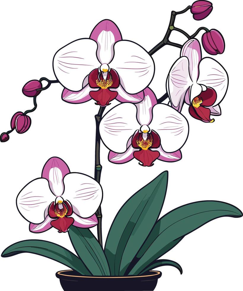 Orchid plant with vibrant flowers in a decorative pot vector