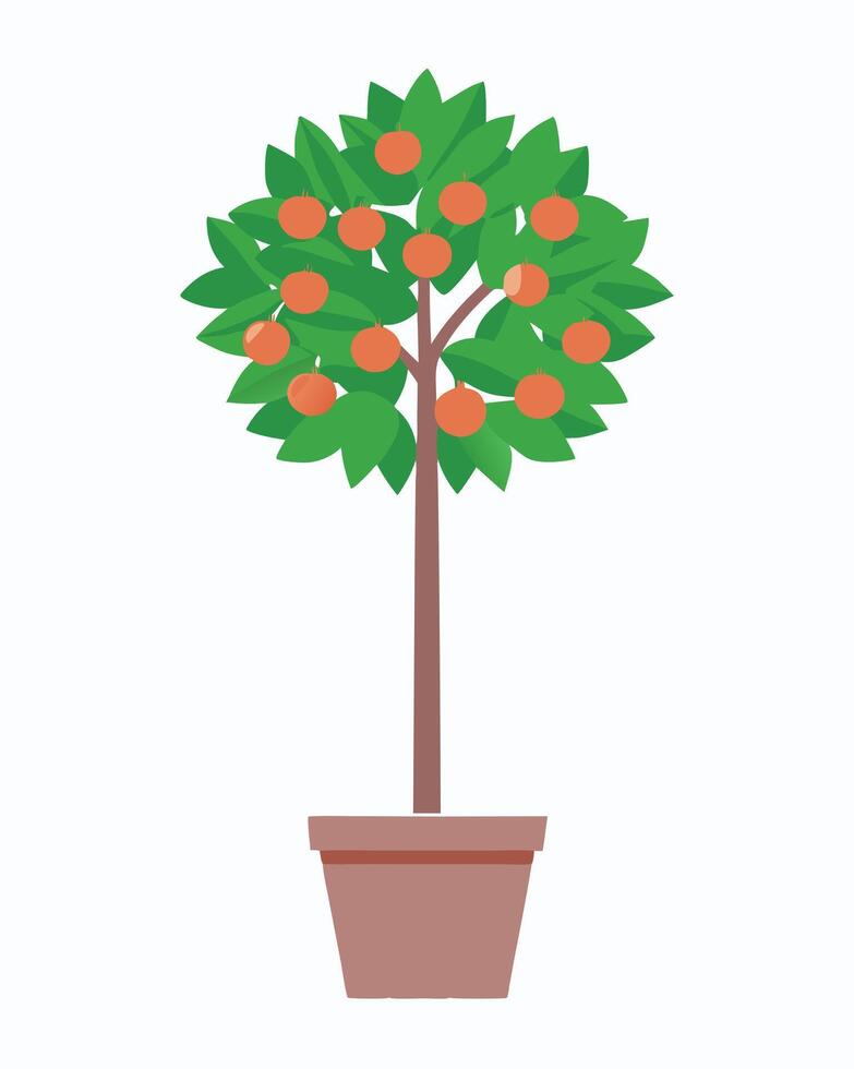 Orange tree in a pot showcasing ripe fruit and lush foliage vector