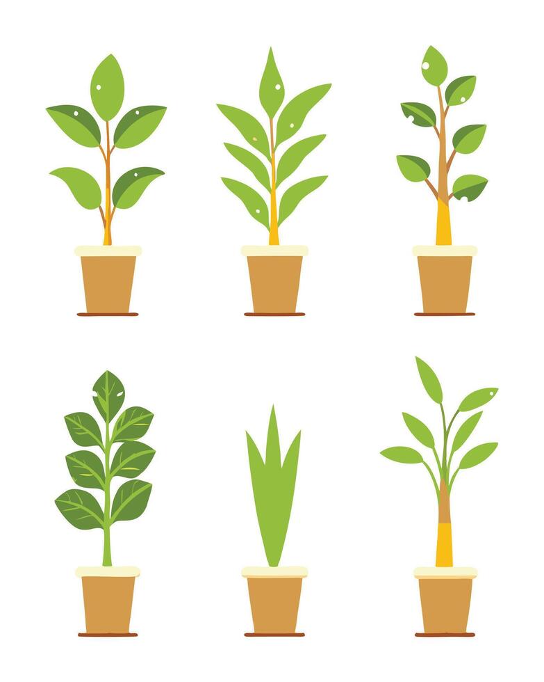 Set of vibrant indoor plants in pots isolated on a white background vector