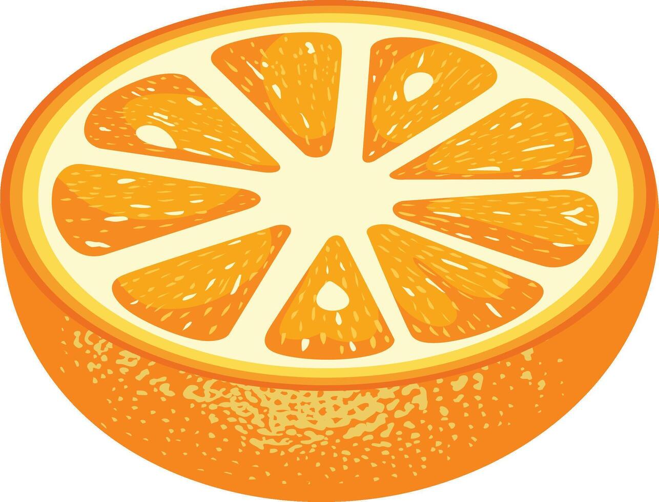 Fresh half of orange isolated vector