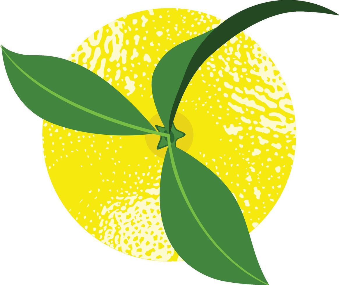 Fresh yellow lemon with leaves vector