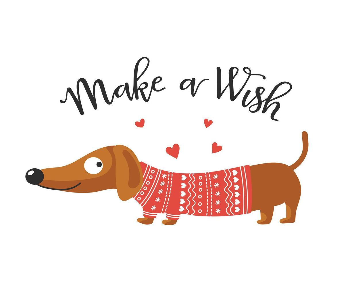Cute dachshund dog in a knitted sweater and lettering make a wish. Illustration in flat style, print vector