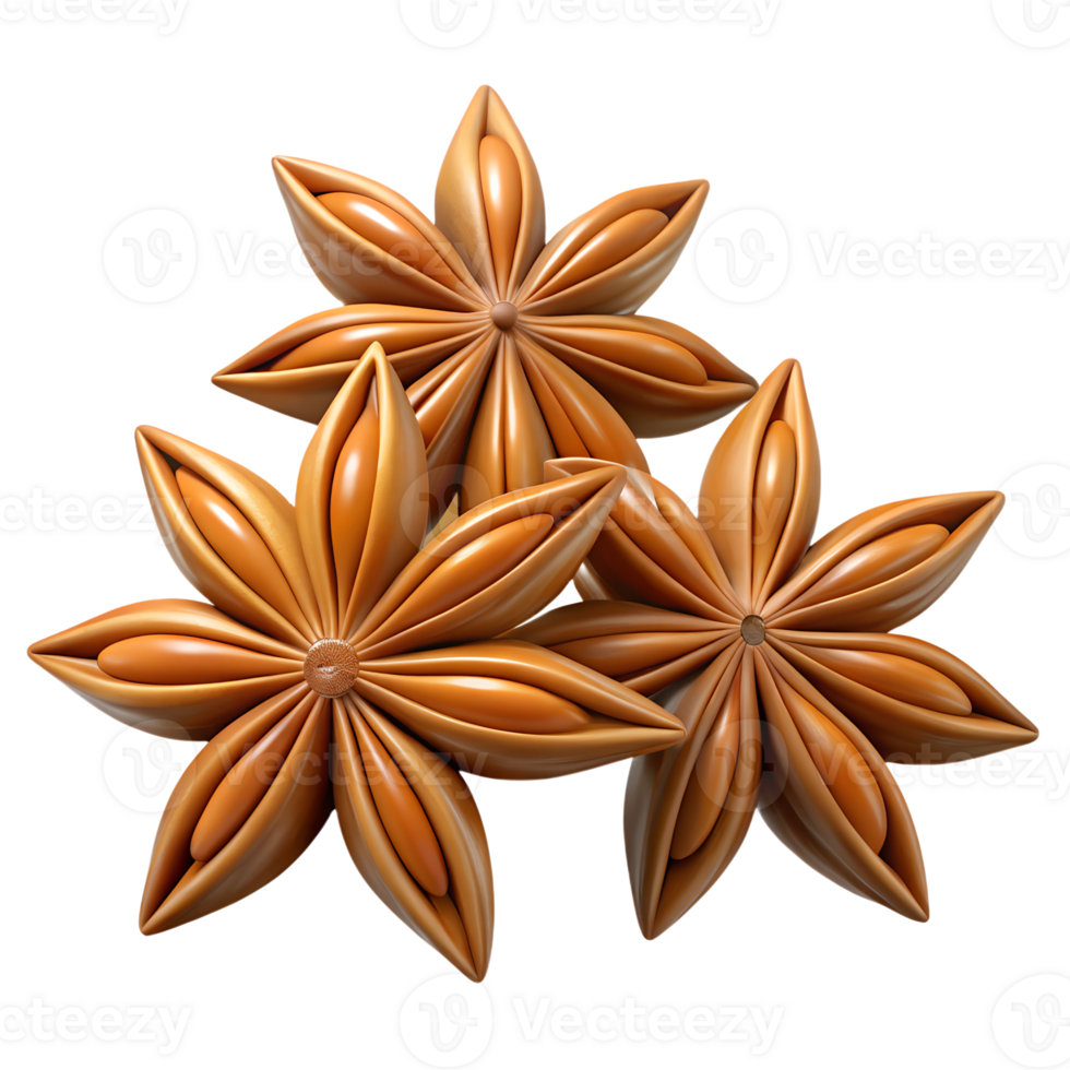 Cinnamon stars anise spice 3d illustration isolated on the transparent background png