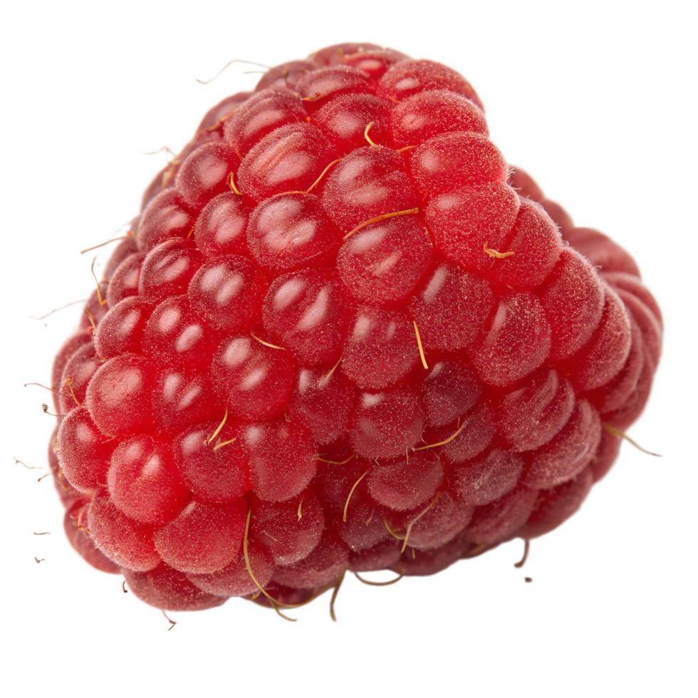 Ripe red raspberry isolated on the transparent background png