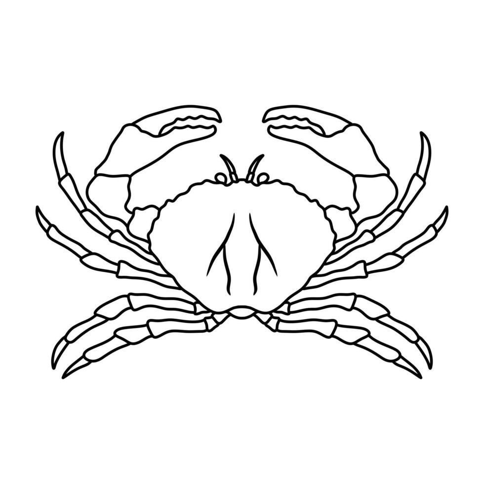 crab art,graphics crabs icons set,vintage illustration crab vector