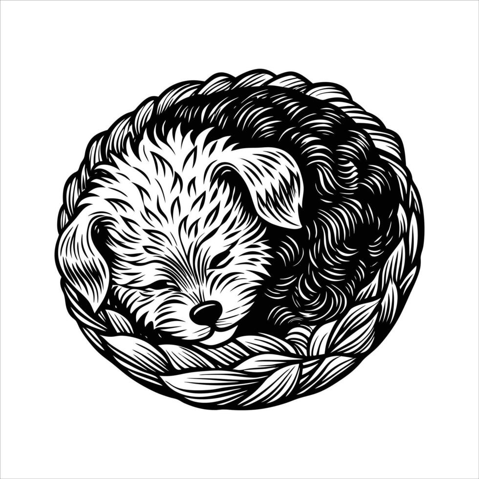 Cute Bichon Frise Dog sleeping vector
