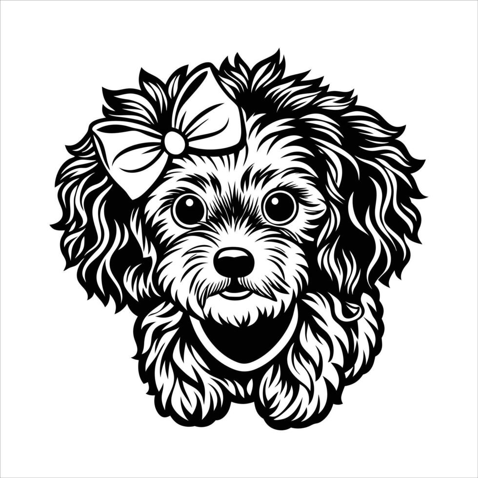 Cute Bichon Frise Dog Head vector