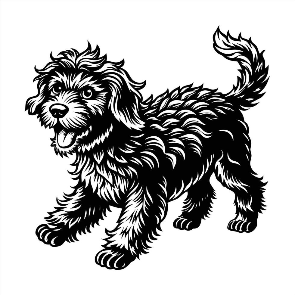 Goldendoodle Dog Breed vector