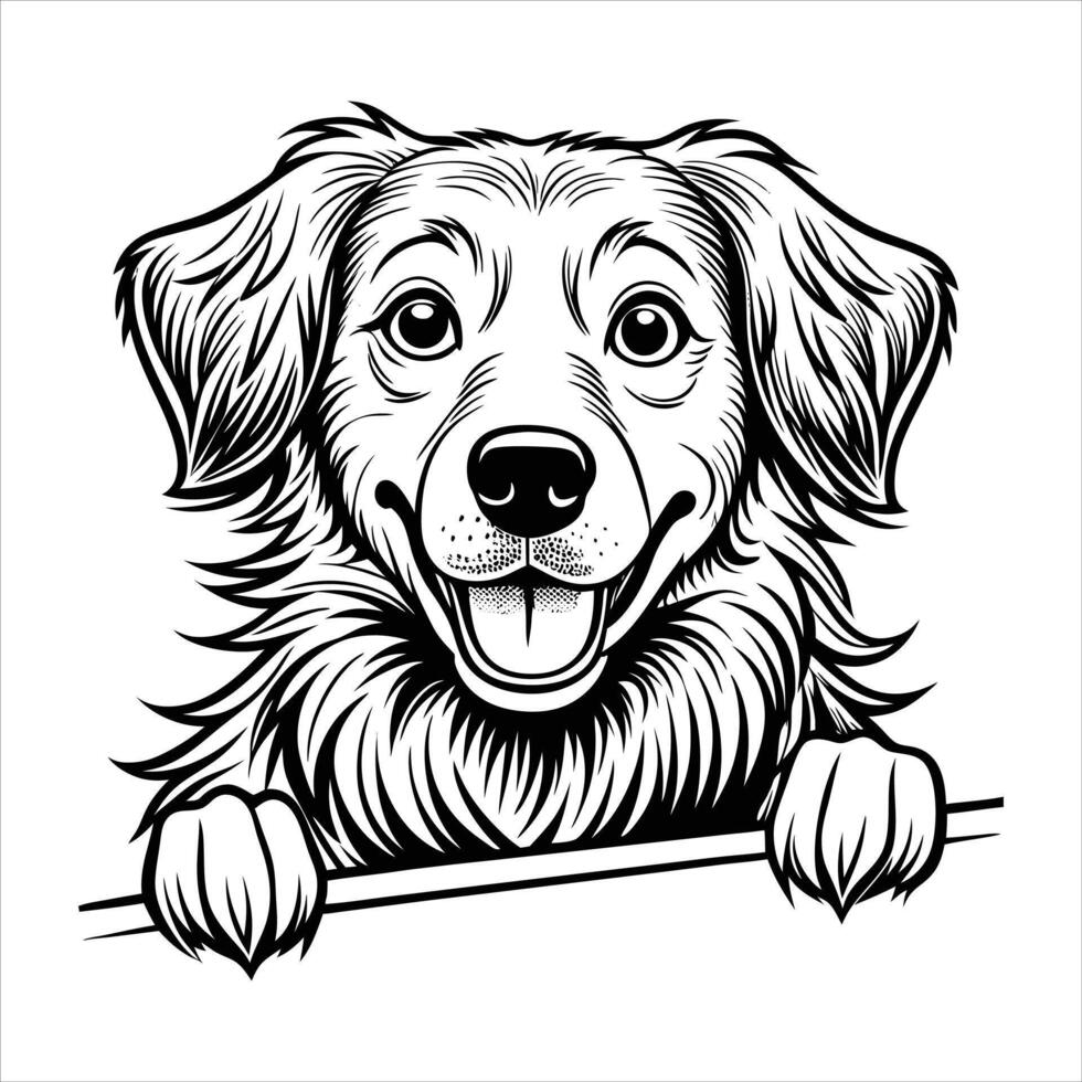 Nova Scotia Duck Tolling Retriever peeking Dog. vector
