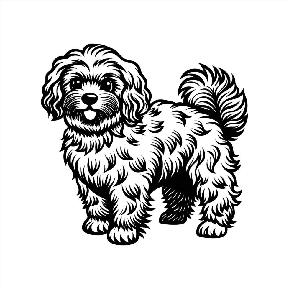 Cute Bichon Frise Dog Standing vector
