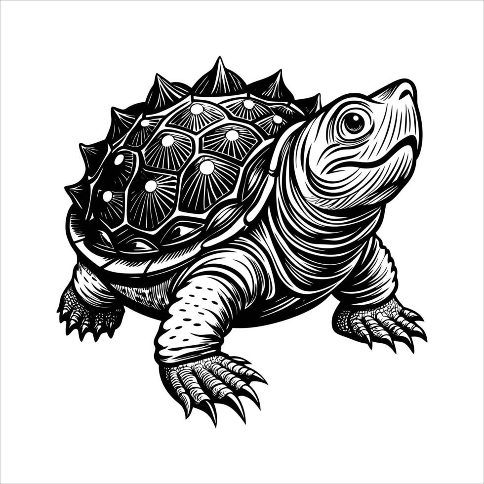 Mexican musk turtle vector