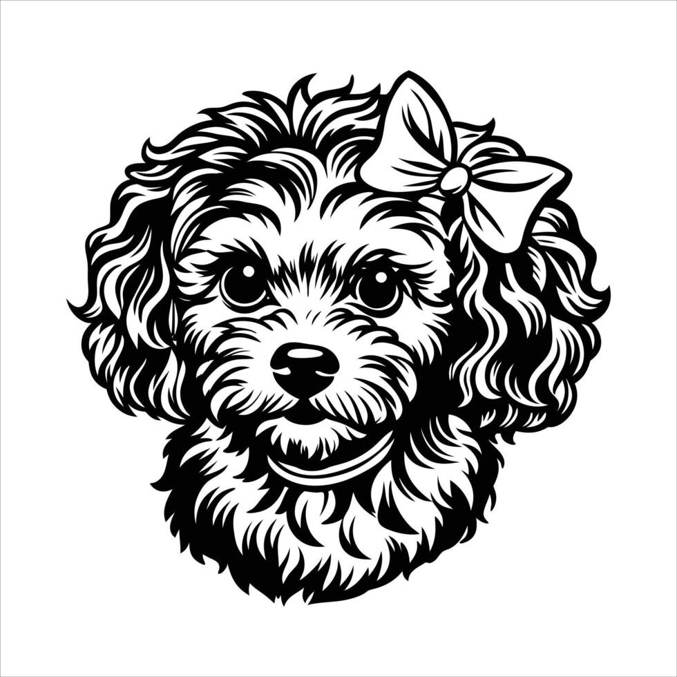 Bichon Frise Dog Head vector