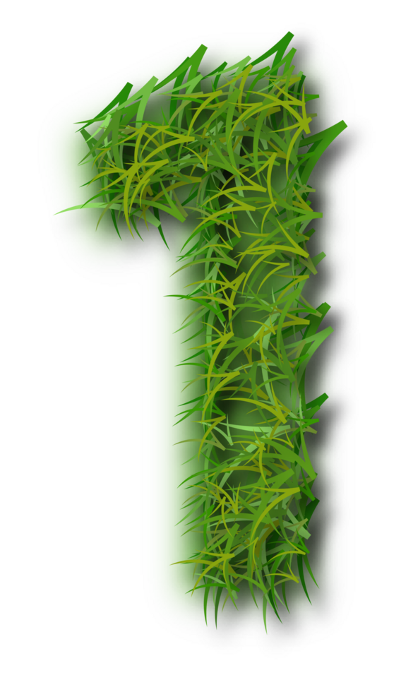 Grass number 1 png