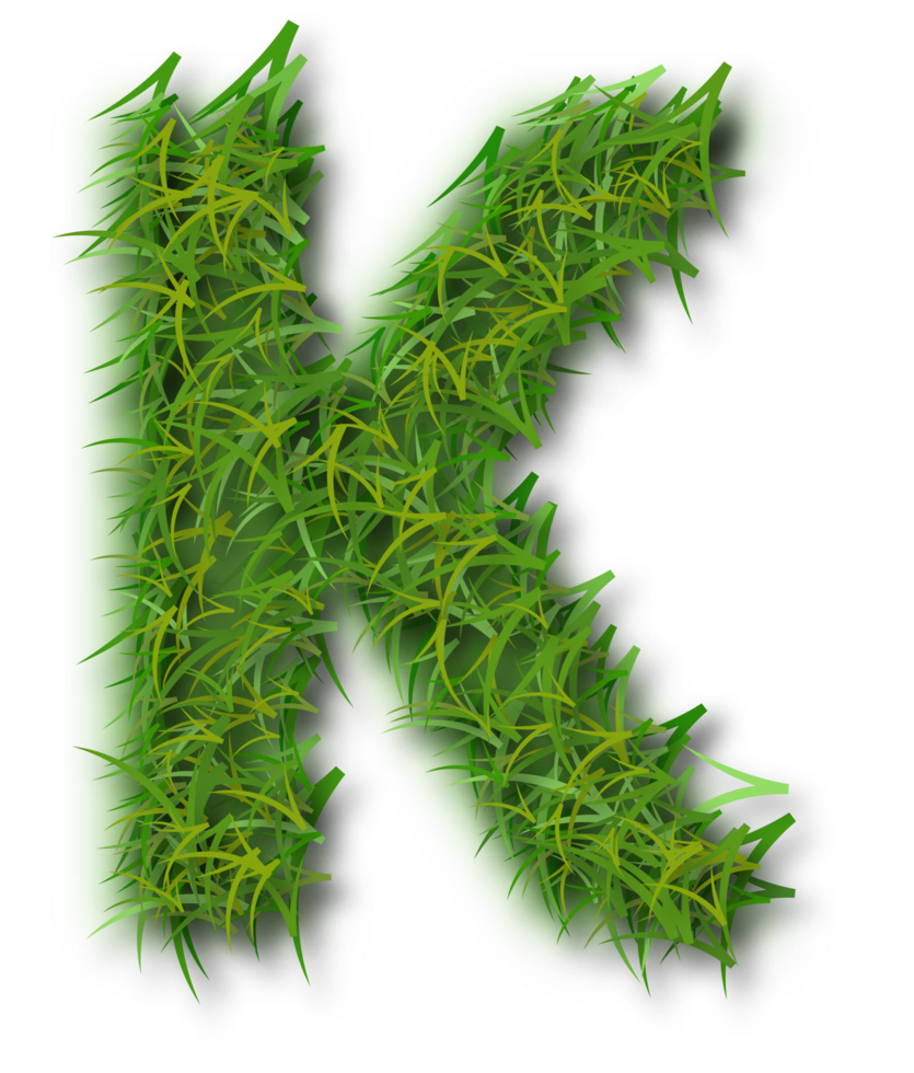 Grass alphabet - screenshot png