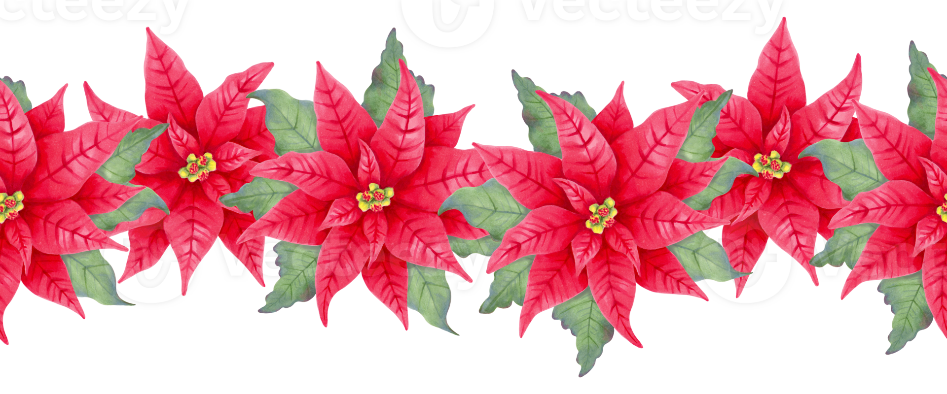 Christmas border of poinsettia flowers. Watercolor illustration. Hand drawn isolated art. Frame of realistic red plant with star flower and leaves for New Year and winter holidays decoration png