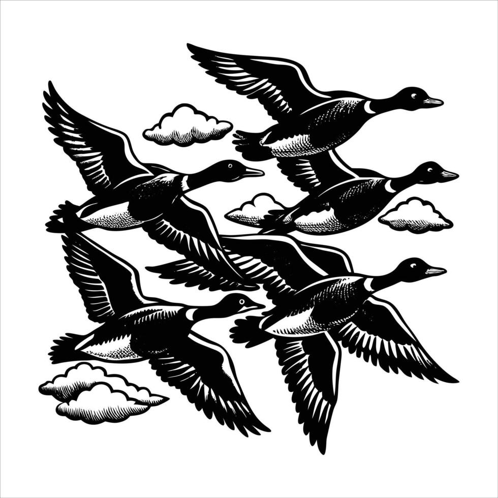 Mallard ducks flying vector