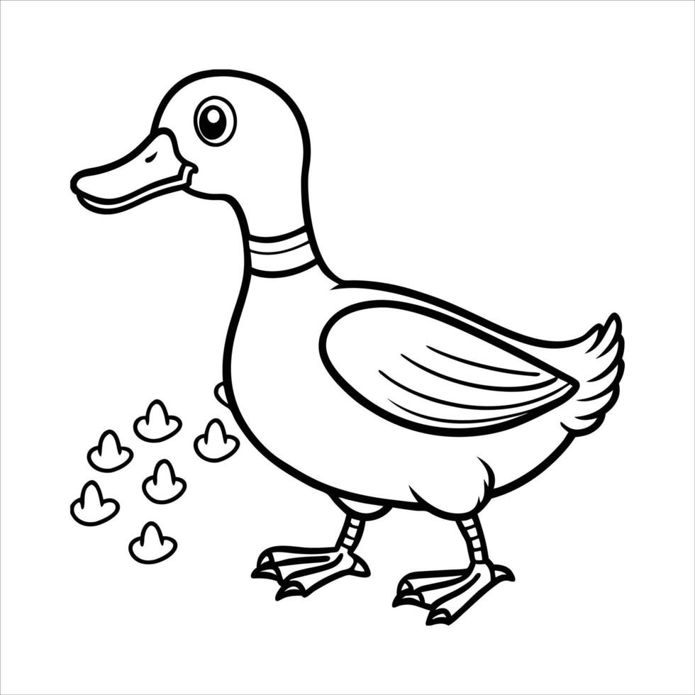 Mallard ducks walking vector